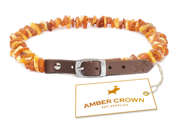 Organic Amber Collar with Adjustable Leather Strap for Dogs and Cats